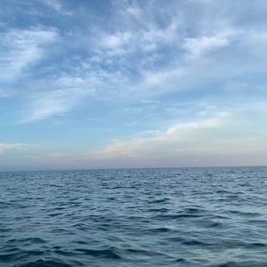 Meet your Posher, Joanie